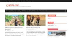 Desktop Screenshot of cyapila.com